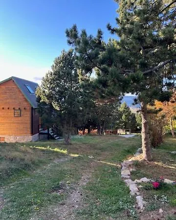 Avec Terrasse Proche Pistes Eyne