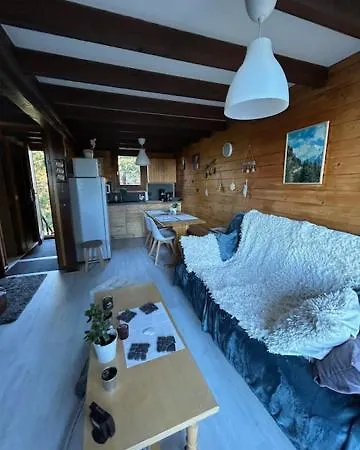 Avec Terrasse Proche Pistes